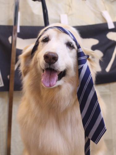 20240627みるくちゃん